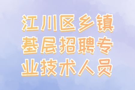 江川区乡镇基层招聘专业技术人员